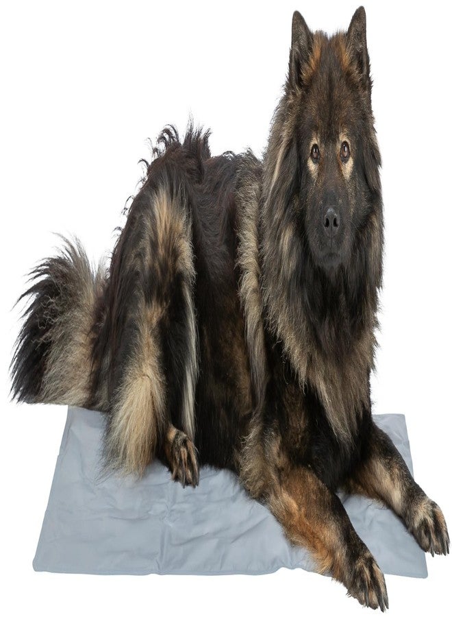 Trixie Cooling Mat, Blue (26x20 Inches) - Image 5